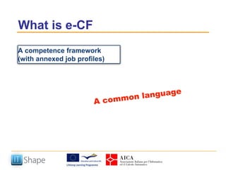 The presence and the future: from EUCIP Core to e-CF plus