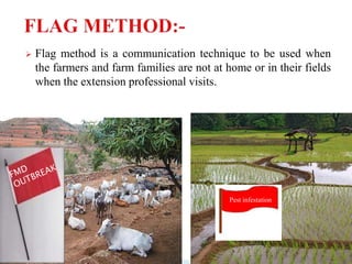  Flag method is a communication technique to be used when
the farmers and farm families are not at home or in their fields
when the extension professional visits.
Pest infestation
 