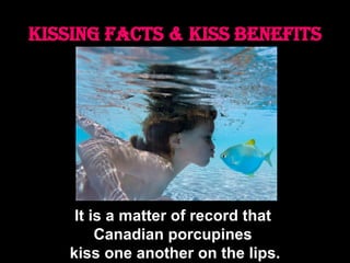 Kissing Facts & Kiss Benefits It is a matter of record that  Canadian porcupines  kiss one another on the lips. 