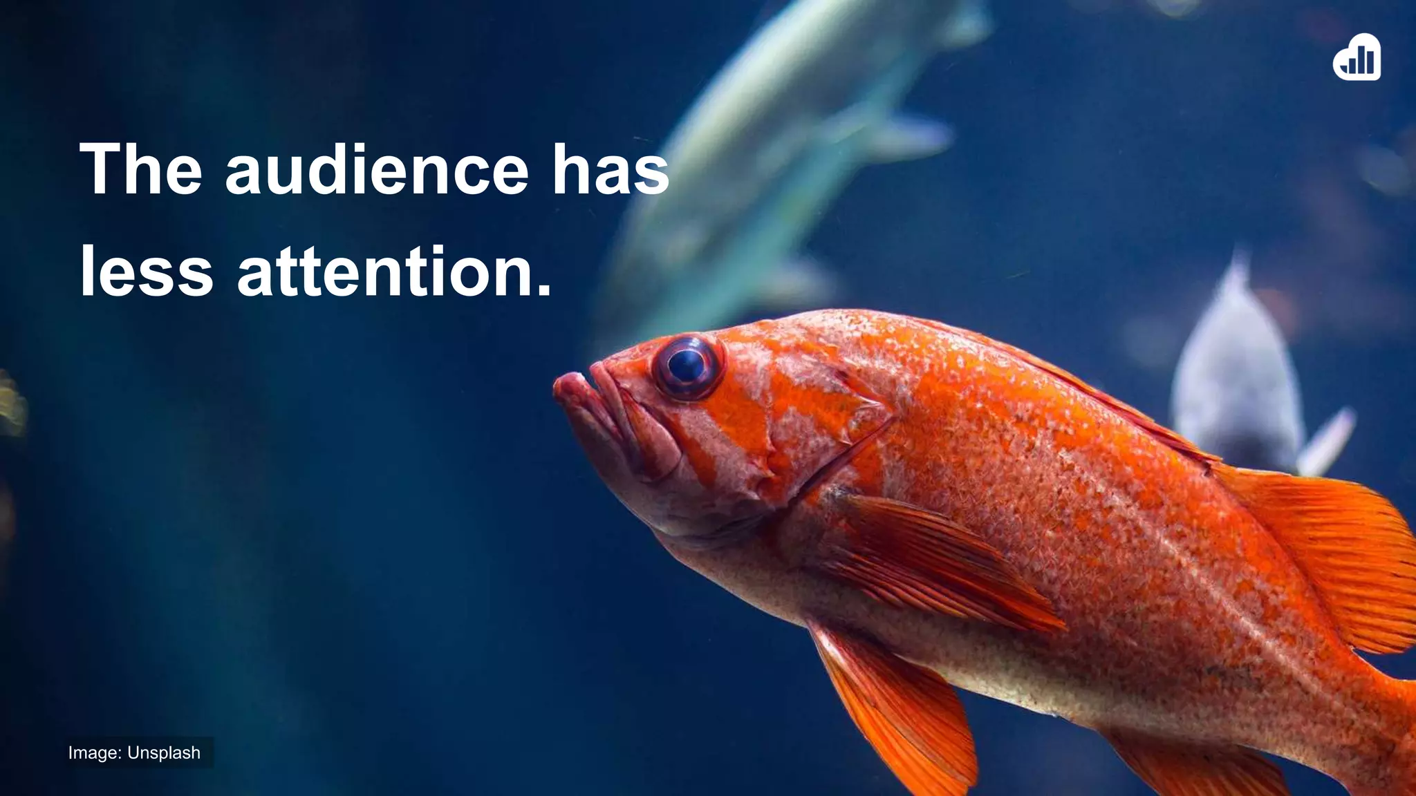 The audience has
less attention.
Image: Unsplash
 