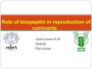 Ajitha kumar H M
Hudedh
Phd scholar
Role of kisspeptin in reproduction of
ruminants
 