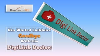 Kiss Wasted LinkJuice Goodbye With the DigiLink Doctor! 