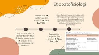 Kista dan abses bartholin