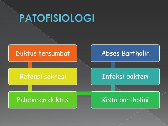 Kista Dan Abses Kelenjar Bartholini