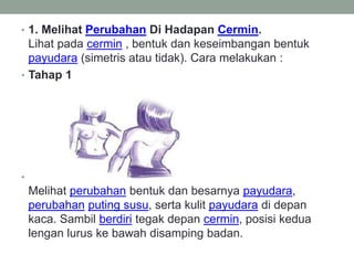 • 1. Melihat Perubahan Di Hadapan Cermin.
Lihat pada cermin , bentuk dan keseimbangan bentuk
payudara (simetris atau tidak). Cara melakukan :
• Tahap 1
•
Melihat perubahan bentuk dan besarnya payudara,
perubahan puting susu, serta kulit payudara di depan
kaca. Sambil berdiri tegak depan cermin, posisi kedua
lengan lurus ke bawah disamping badan.
 