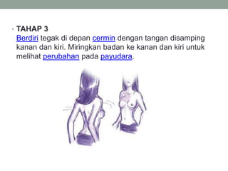 • TAHAP 3
Berdiri tegak di depan cermin dengan tangan disamping
kanan dan kiri. Miringkan badan ke kanan dan kiri untuk
melihat perubahan pada payudara.
 