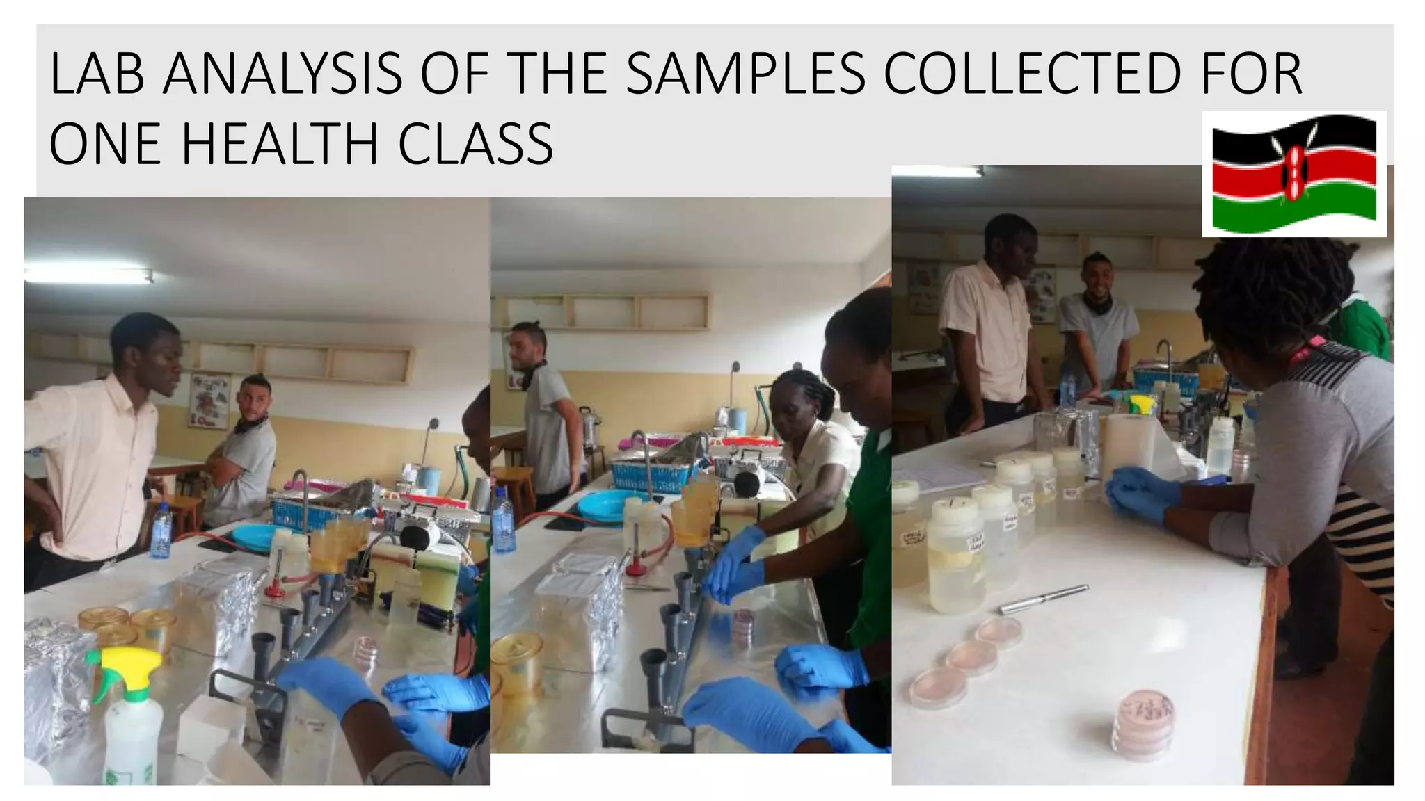 LAB ANALYSIS OF THE SAMPLES COLLECTED FOR
ONE HEALTH CLASS