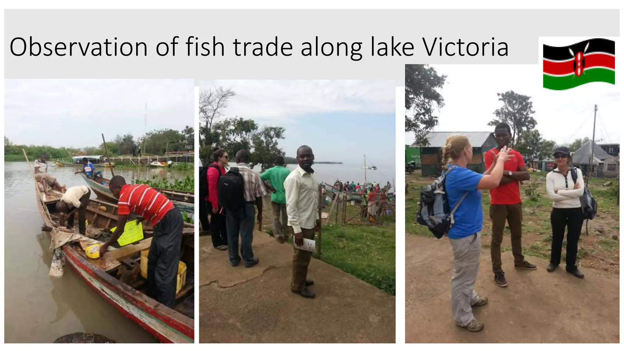 Observation of fish trade along lake Victoria