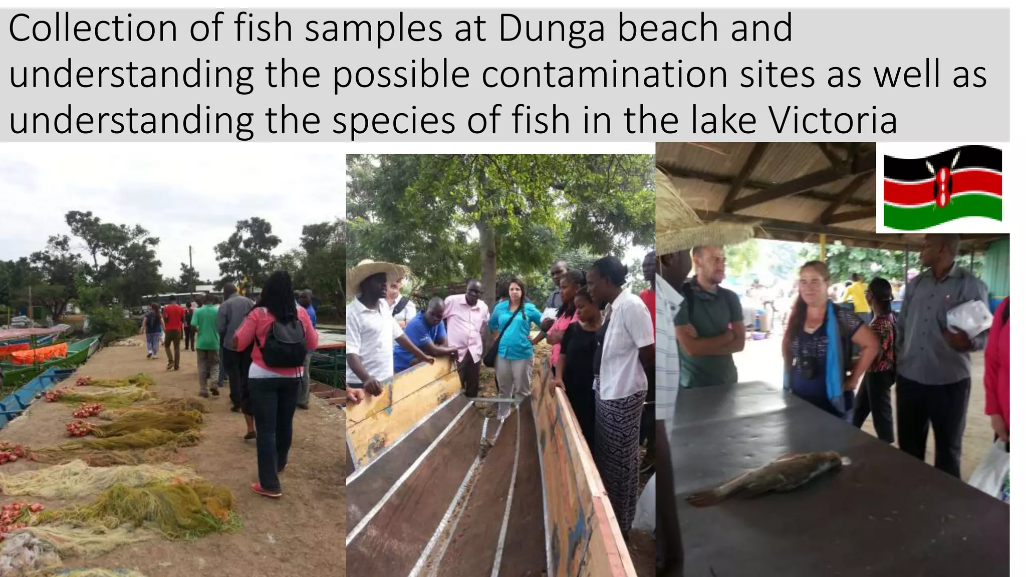 Collection of fish samples at Dunga beach and
understanding the possible contamination sites as well as
understanding the species of fish in the lake Victoria