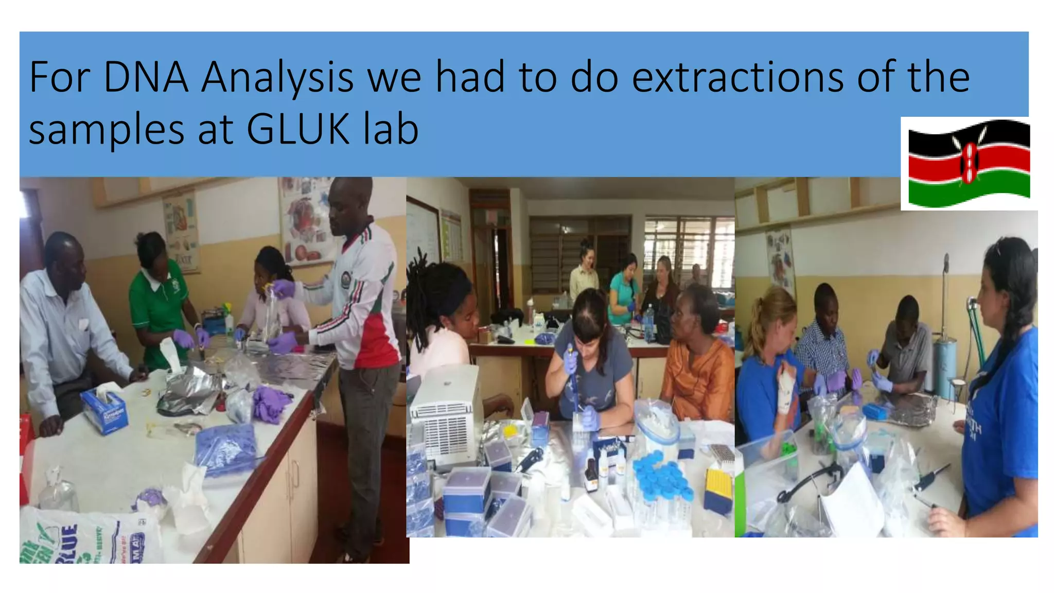 For DNA Analysis we had to do extractions of the
samples at GLUK lab