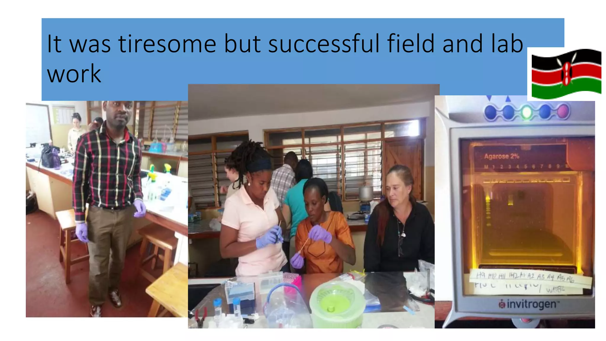 It was tiresome but successful field and lab
work