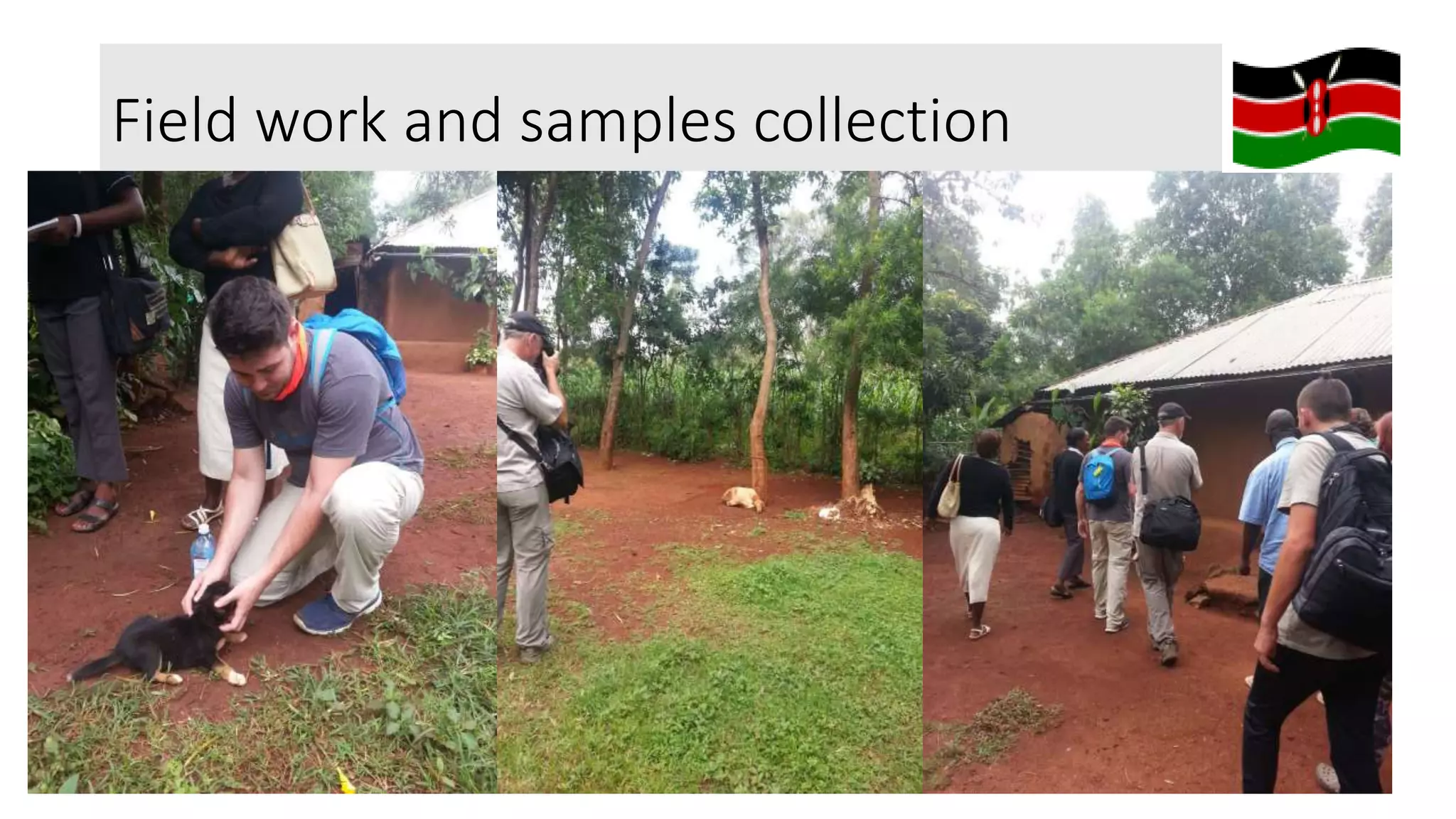 Field work and samples collection