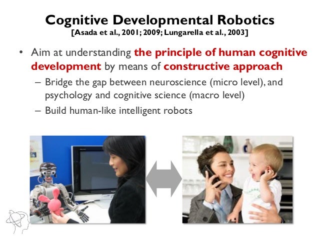 human cognitive development