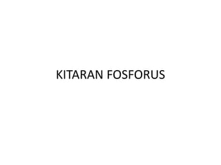 KITARAN FOSFORUS
 