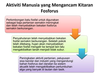 Aktiviti Manusia yang Mengancam Kitaran
Fosforus
Perlombongan batu fosfat untuk digunakan
sebagai baja pertanian semakin meningkat
dan telah menyebabkan bekalan fosforus
semakin berkurangan.
Penyahutanan telah menyebabkan bekalan
fosfat semakin berkurangan. Setelah pokok
telah ditebang, hujan akan menyebabkan
bekalan fosfat mengalir ke tempat lain lalu
mengakibatkan tanah menjadi tidak subur.
Peningkatan aktiviti pertanian, pelupusan
sisa bandar dan industri yang mengandungi
bahan fosforus dari daratan ke sistem
akuatik telah mengakitbatkan pertumbuhan
alga yang banyak di lautan dan tasik.
 