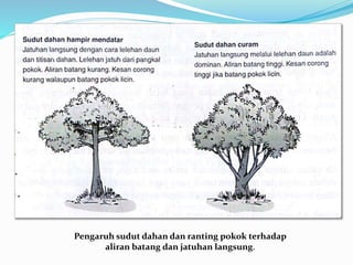 Pokok Dan Ranting Kitaran hidrologi | PPTX