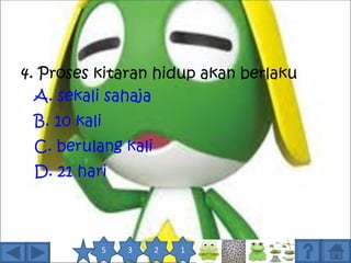 4. Proses kitaran hidup akan berlaku
  A. sekali sahaja
 B. 10 kali
 C. berulang kali
 D. 21 hari



          5   3     2   1
 