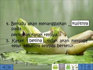 kulitnya
4. Berudu akan menanggalkan _______
   pada
   peringkat katak remaja.
             betina
5. Katak _______ tidak akan menjaga
   telur -telurnya selepas bertelur.
 