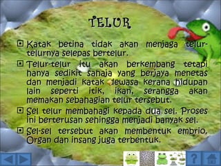 TELUR
 Katak betina tidak akan menjaga telur-
  telurnya selepas bertelur.
 Telur-telur itu akan berkembang tetapi
  hanya sedikit sahaja yang berjaya menetas
  dan menjadi katak dewasa kerana hidupan
  lain seperti itik, ikan, serangga akan
  memakan sebahagian telur tersebut.
 Sel telur membahagi kepada dua sel. Proses
  ini berterusan sehingga menjadi banyak sel.
 Sel-sel tersebut akan membentuk embrio.
  Organ dan insang juga terbentuk.
 