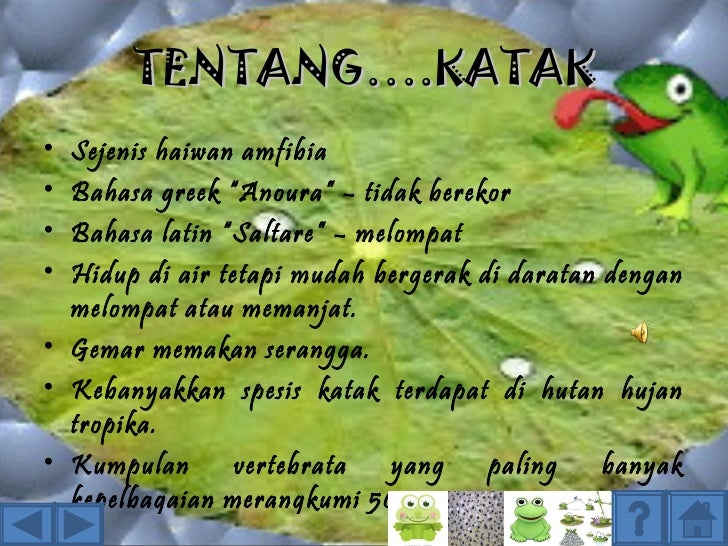 Kitaran Hidup Katak