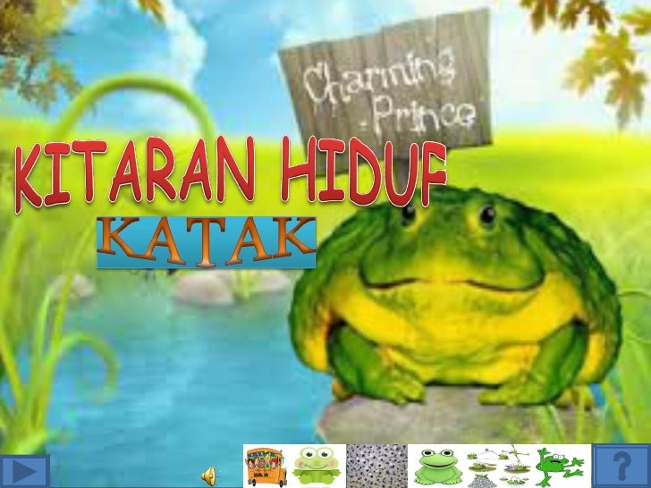 Kitaran hidup katak