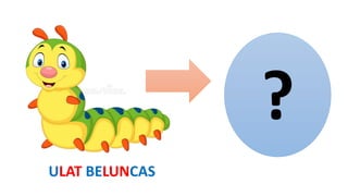 Kitaran Hidup Rama-Rama | PPTX