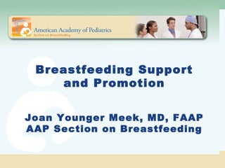 Breastfeeding Support
and Promotion
Joan Younger Meek, MD, FAAP
AAP Section on Breastfeeding
 