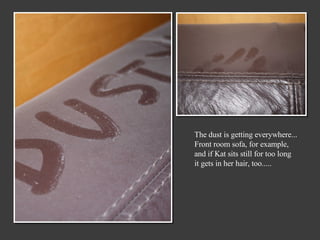 The dust is getting everywhere... Front room sofa, for example, and if Kat sits still for too long it gets in her hair, too.....