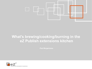 What's brewing/cooking/burning in the
   eZ Publish extensions kitchen
               Paul Borgermans
 