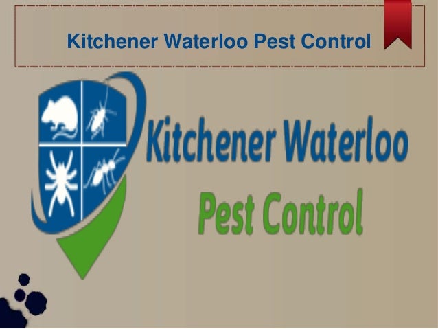 Pest Control Services In Kitchener Waterloo Guelph