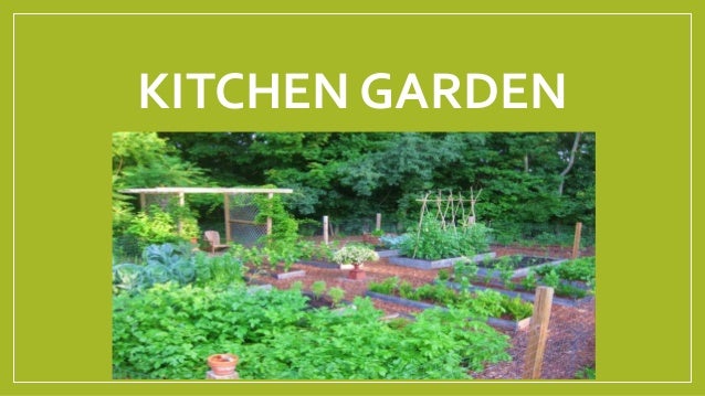 Kitchen Garden