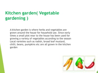 kitchen Garden.pptx