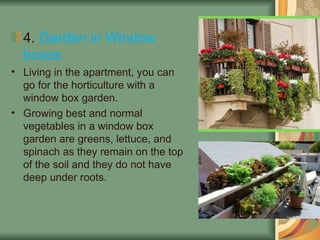 4. Garden in Window
boxes
• Living in the apartment, you can
go for the horticulture with a
window box garden.
• Growing best and normal
vegetables in a window box
garden are greens, lettuce, and
spinach as they remain on the top
of the soil and they do not have
deep under roots.
 