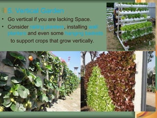 5. Vertical Garden
• Go vertical if you are lacking Space.
• Consider railing planters, installing wall
planters and even some hanging baskets
to support crops that grow vertically.
 