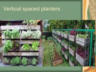 Vertical spaced planters
 