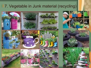 7. Vegetable in Junk material (recycling)
 