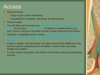 Access
Near the house.
Easy to get to when harvesting.
Accessible for weeding, cultivating, & staking plants.
Close to water.
You will also want to locate your vegetable garden relatively close to the
house so you have access to water if irrigation is needed and so you
won’t have to haul your bountiful harvest a great distance to the kitchen.
Likewise, a vegetable garden nearby will encourage you to spend a few
minutes here and there weeding, cultivating, and staking plants as
needed.
Finally, a garden near the house may deter some of the wildlife that may
find your garden appealing such as rabbits, various birds, and stray
beetles and reptiles.
In some cases, the garden may need to be fenced to keep out all grazing
animals.
 