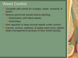 Weed Control
Compete with plants for sunlight, water, nutrients, &
space.
Reduce perennial weeds before planting.
Solarization with black plastic.
Herbicides.
Hoe regularly to keep annual weeds under control.
Carrots, onions, radishes, & beets need more vigilant
weed management because of their small canopy.
 