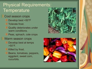 Physical Requirements:
Temperature
Cool season crops
Develop best <50°F
Tolerate frost.
Quality deteriorates under
warm conditions.
Peas, spinach, cole crops
Warm season crops
Develop best at temps
>50°F.
Killed by frost.
Beans, tomatoes, peppers,
eggplant, sweet corn,
cucurbits.
 