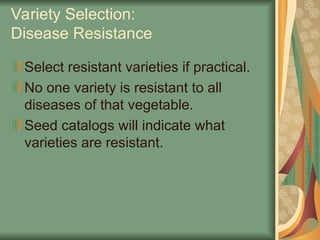 Variety Selection:
Disease Resistance
Select resistant varieties if practical.
No one variety is resistant to all
diseases of that vegetable.
Seed catalogs will indicate what
varieties are resistant.
 