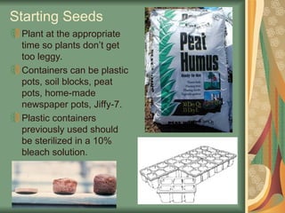 Starting Seeds
Plant at the appropriate
time so plants don’t get
too leggy.
Containers can be plastic
pots, soil blocks, peat
pots, home-made
newspaper pots, Jiffy-7.
Plastic containers
previously used should
be sterilized in a 10%
bleach solution.
 