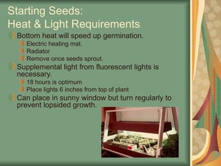 Starting Seeds:
Heat & Light Requirements
Bottom heat will speed up germination.
Electric heating mat.
Radiator
Remove once seeds sprout.
Supplemental light from fluorescent lights is
necessary.
18 hours is optimum
Place lights 6 inches from top of plant
Can place in sunny window but turn regularly to
prevent lopsided growth.
 