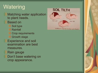 Watering
Matching water application
to plant needs.
Based on
Soil type
Rainfall
Crop requirements
Growth stage
Experience and soil
examination are best
measures.
Rain gauge
Don’t base watering on
crop appearance.
 