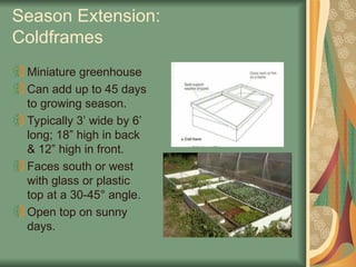 Season Extension:
Coldframes
Miniature greenhouse
Can add up to 45 days
to growing season.
Typically 3’ wide by 6’
long; 18” high in back
& 12” high in front.
Faces south or west
with glass or plastic
top at a 30-45° angle.
Open top on sunny
days.
 