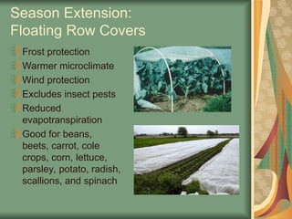 Season Extension:
Floating Row Covers
Frost protection
Warmer microclimate
Wind protection
Excludes insect pests
Reduced
evapotranspiration
Good for beans,
beets, carrot, cole
crops, corn, lettuce,
parsley, potato, radish,
scallions, and spinach
 