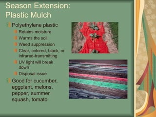 Season Extension:
Plastic Mulch
Polyethylene plastic
Retains moisture
Warms the soil
Weed suppression
Clear, colored, black, or
infrared-transmitting
UV light will break
down
Disposal issue
Good for cucumber,
eggplant, melons,
pepper, summer
squash, tomato
 