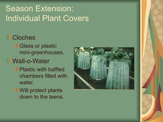 Season Extension:
Individual Plant Covers
Cloches
Glass or plastic
mini-greenhouses.
Wall-o-Water
Plastic with baffled
chambers filled with
water.
Will protect plants
down to the teens.
 