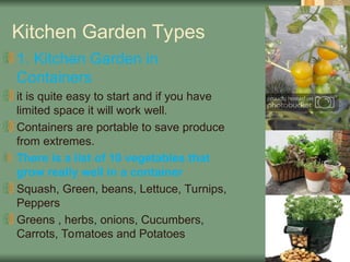 Kitchen Garden Types
1. Kitchen Garden in
Containers
it is quite easy to start and if you have
limited space it will work well.
Containers are portable to save produce
from extremes.
There is a list of 10 vegetables that
grow really well in a container
Squash, Green, beans, Lettuce, Turnips,
Peppers
Greens , herbs, onions, Cucumbers,
Carrots, Tomatoes and Potatoes
 