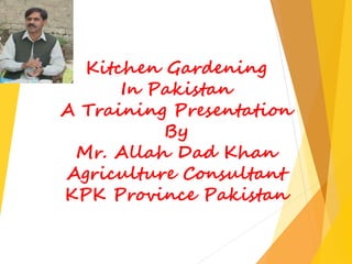 Kitchen gardening in pakistan By Mr Allah Dad Khan Agriculture ...