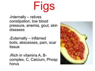 ●Internally – relives
constipation, low blood
pressure, anemia, gout, skin
diseases
●Externally – inflamed
boils, abscesses, pain, scar
tissue
●Rich in vitamins A, B-
complex, C, Calcium, Phosp
horus
Figs
 